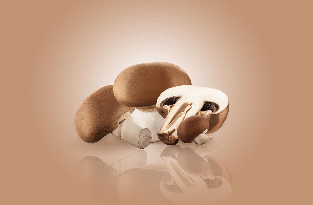 Grzyby shiitake: właściwości lecznicze i przeciwwskazania