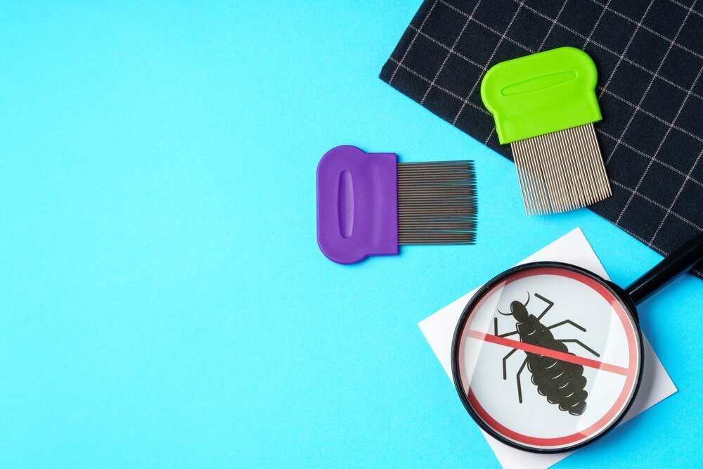 Urządzenia do usuwania kleszczy: ranking i opinie