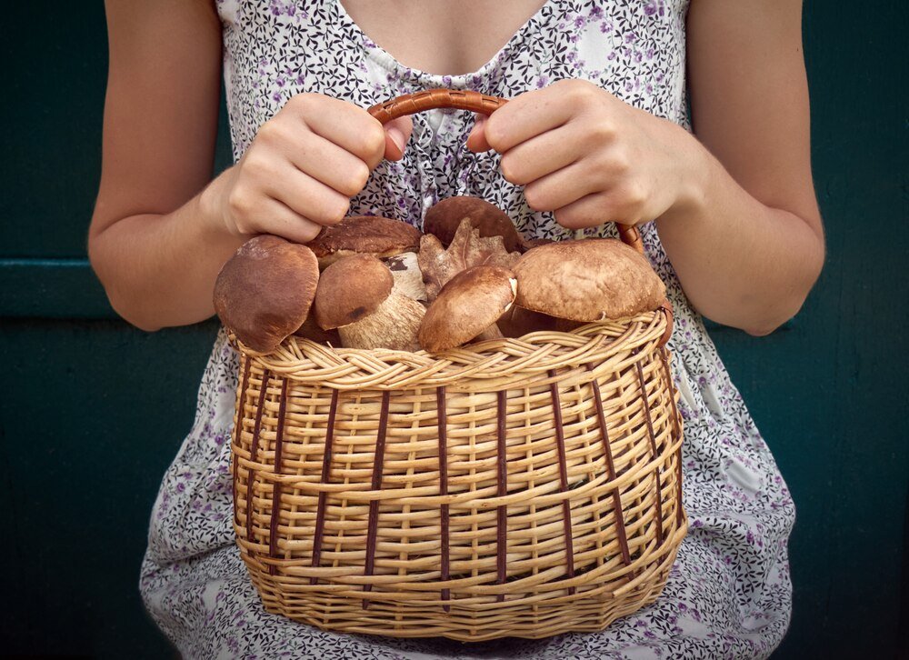 Czy kobieta w ciąży może jeść grzyby – co jest bezpieczne, a czego unikać?
