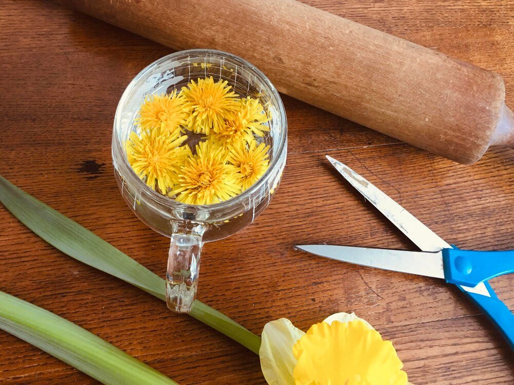 Nalewka z mniszka lekarskiego – właściwości zdrowotne i zastosowanie